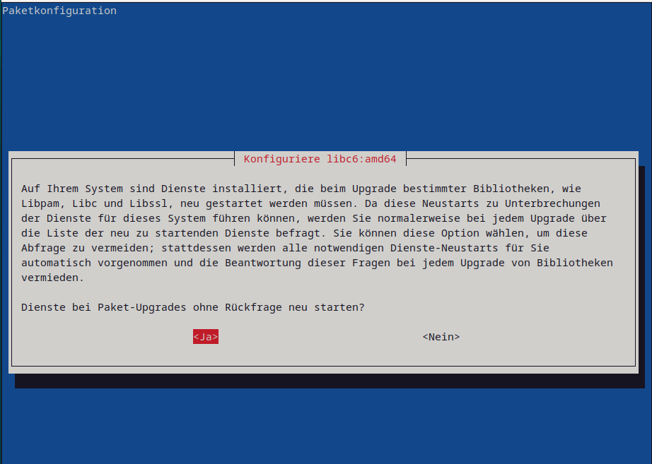 Upgrade Trixie libc6